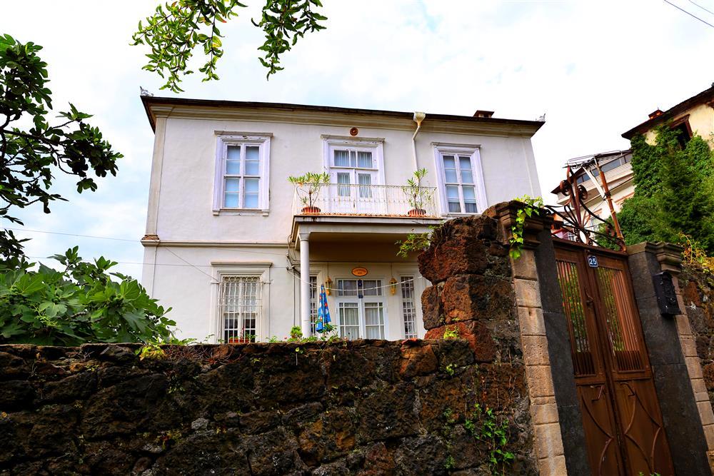 268798,zeytinlik6jpg.png
