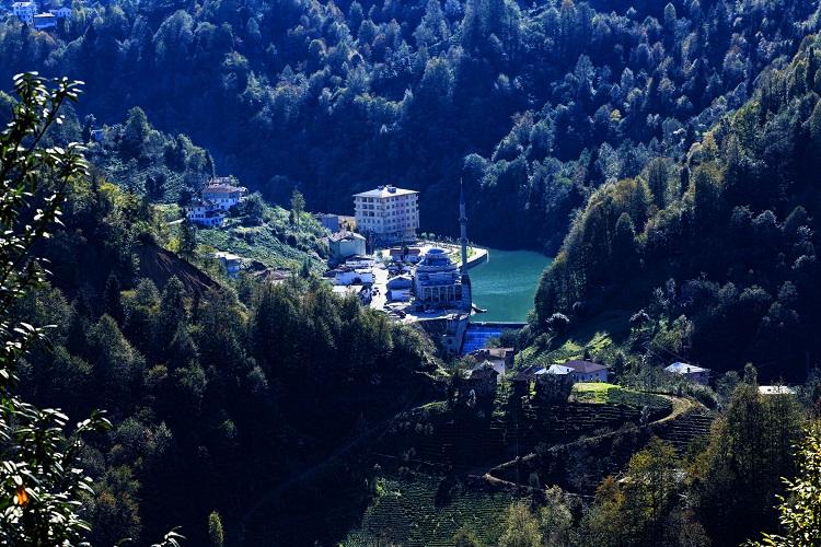 Hemşin (District)