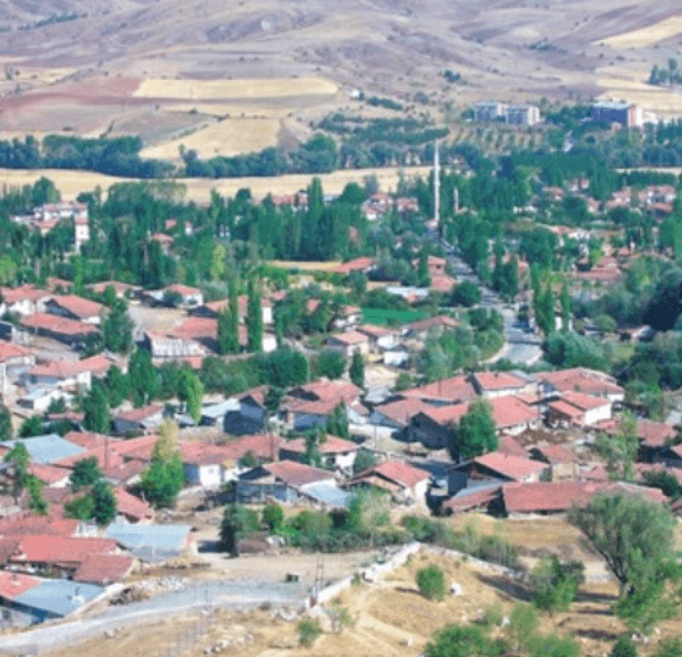 Artova (District)