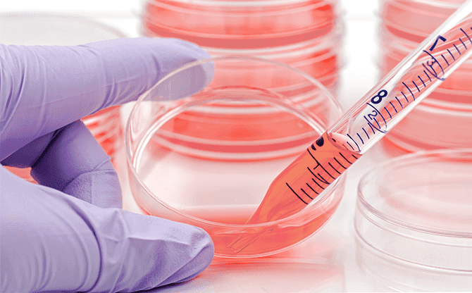 Cell Culture Media