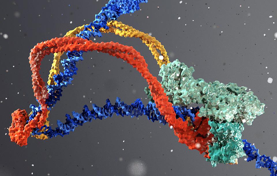 EPIGENETICS