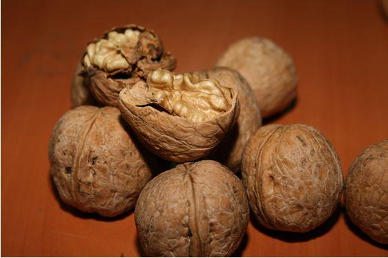 Hekimhan Walnut