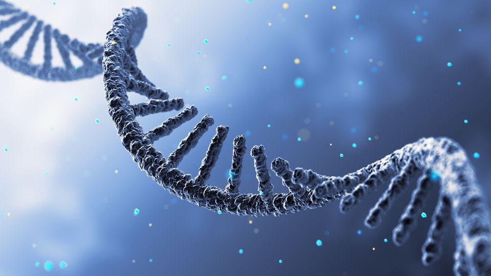 RNA (Ribonükleik Asit)