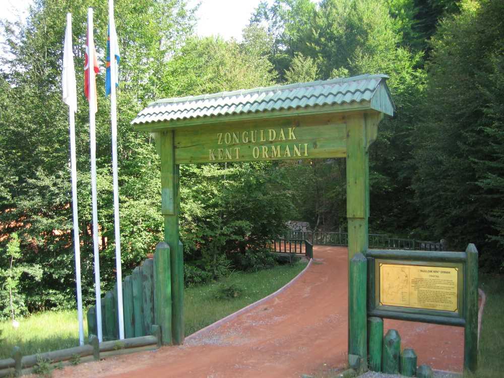 Zonguldak City Forest