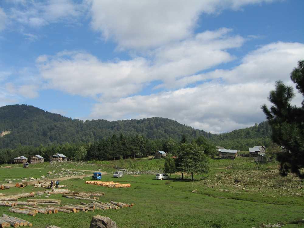 Bölüklü Yayla (Zonguldak)