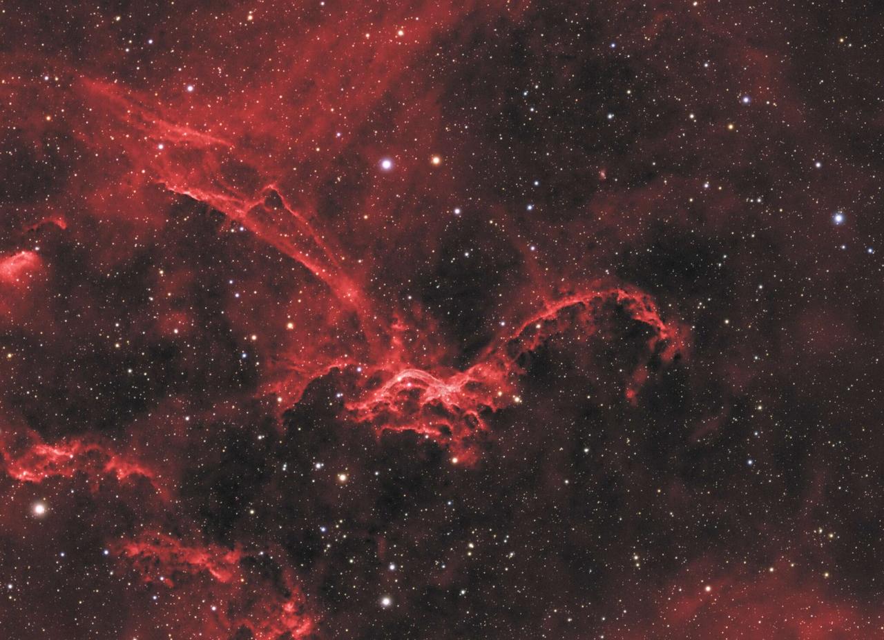 flying-bat-sh2-114-2023B-NA-ST-2048x1485.jpg