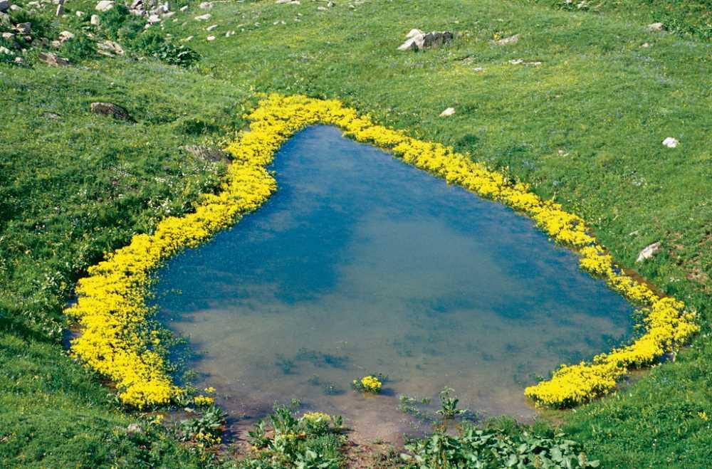BİLGİ KART.jpg