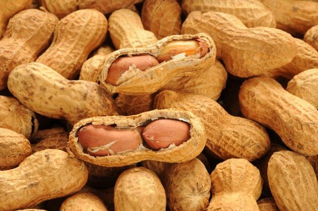 Osmaniye Groundnut