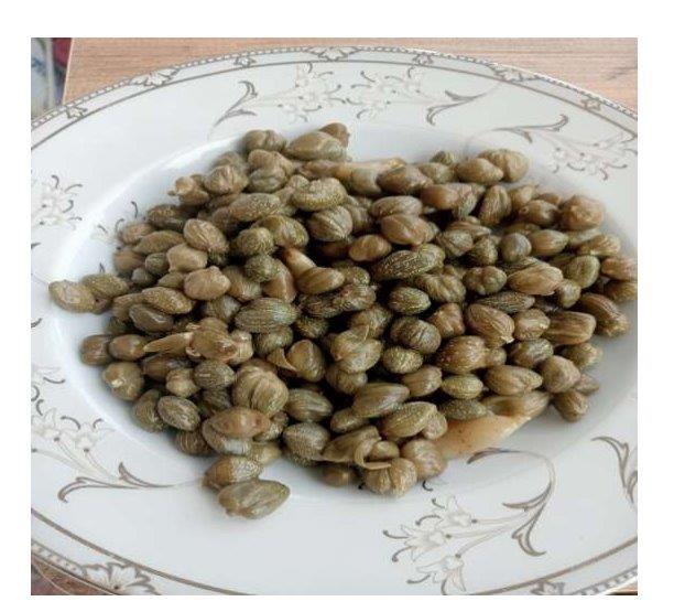 Osmancık Kapari Pickle
