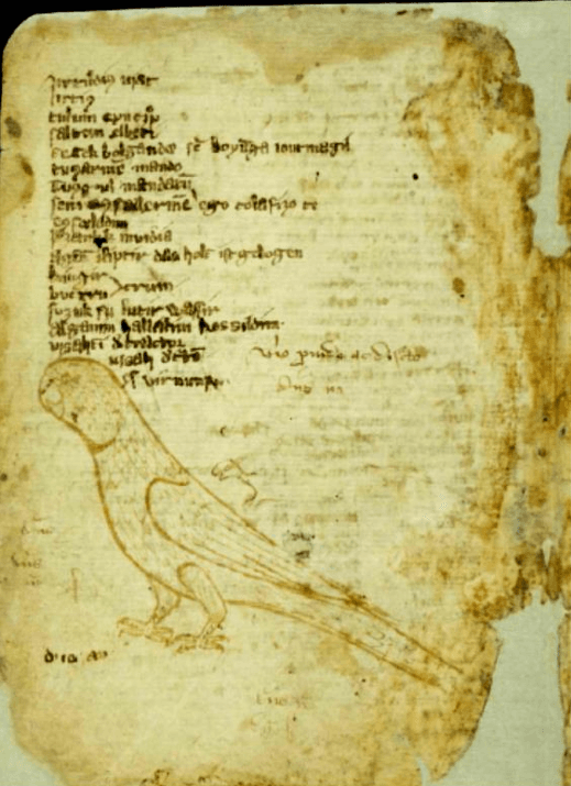 Codex Cumanicus