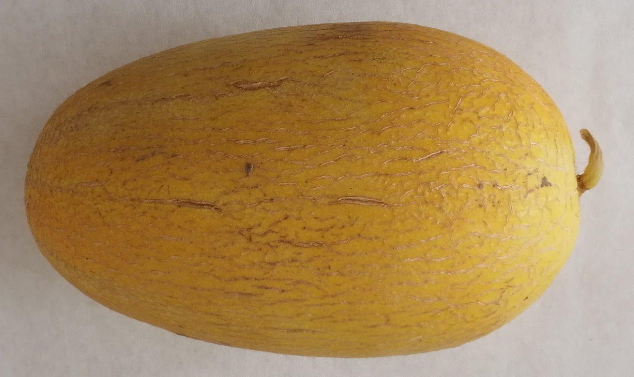 1000027790.jpg