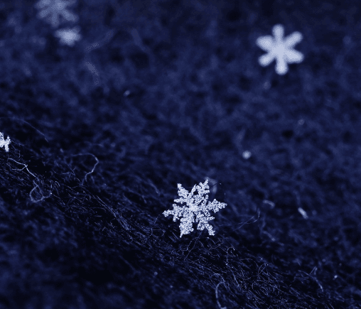 Ice Transparent, Snow White: Why?