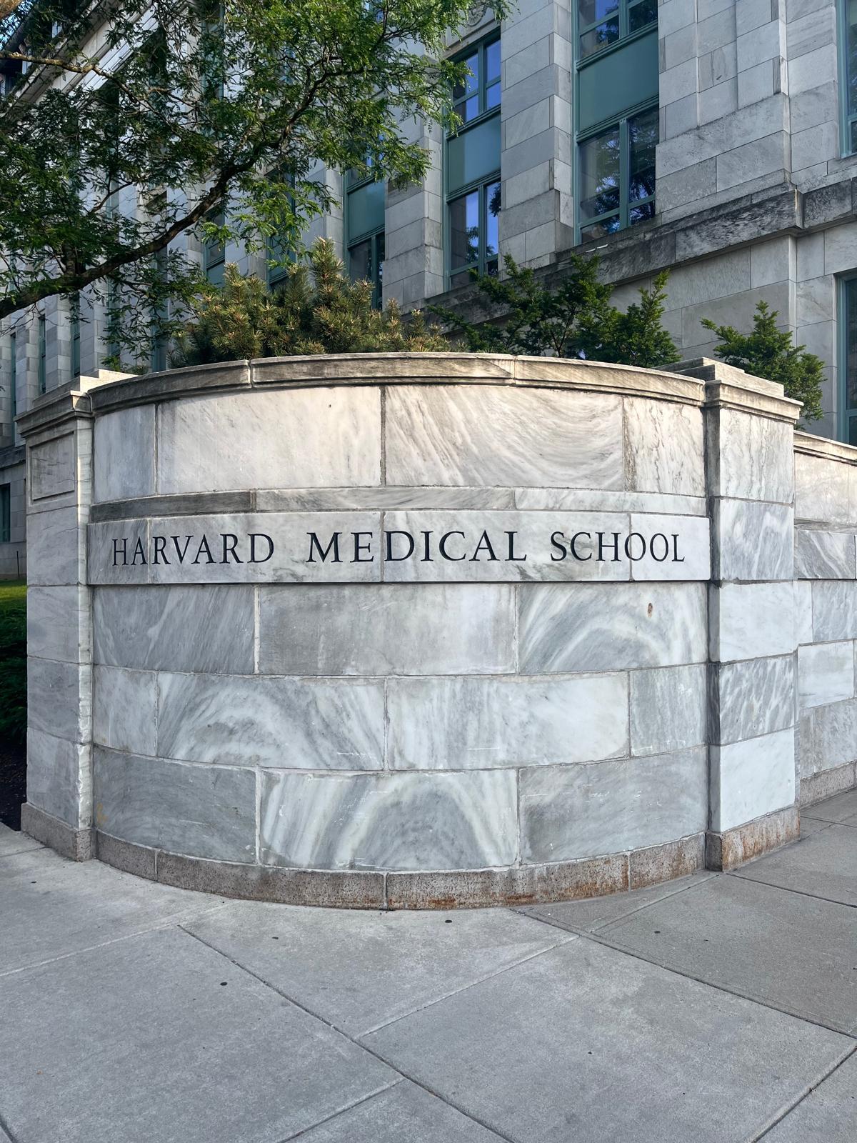 My Summer Internship at Harvard
