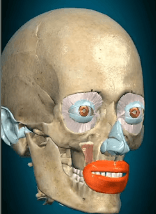 zYWy9rbVlfQjKYfypoAahxhd4XYgAI23.png