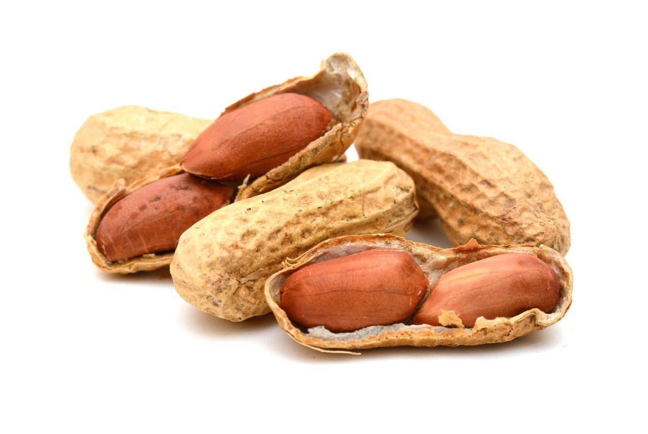 Adana Groundnut