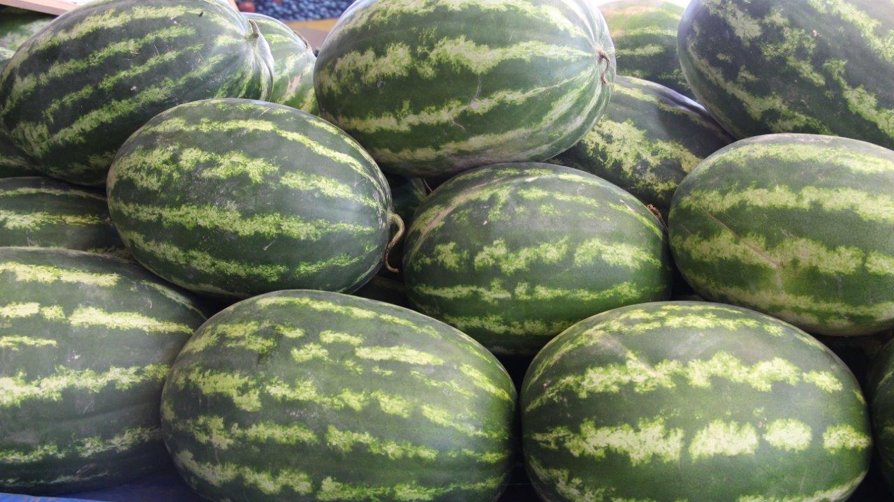 Osmaneli Watermelon