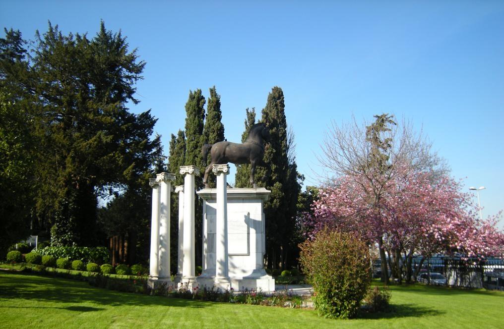 ssm2 (1).jpg