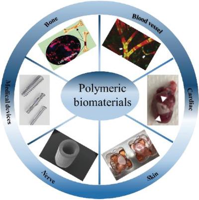 Polimeric Biomaterials