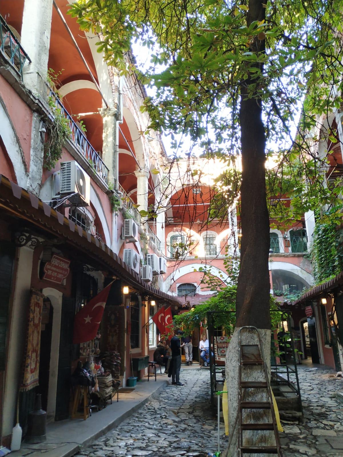 IMG-20191014-WA0101.jpg
