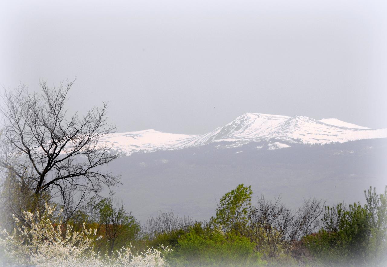 Vitoşa Dağı