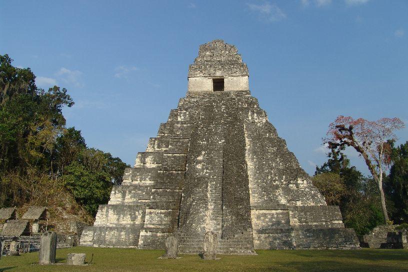 Tikal Bilgi.jpg