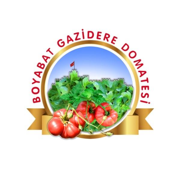 Boyabat Gazidere Tomato