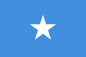 Somali Federal Cumhuriyeti