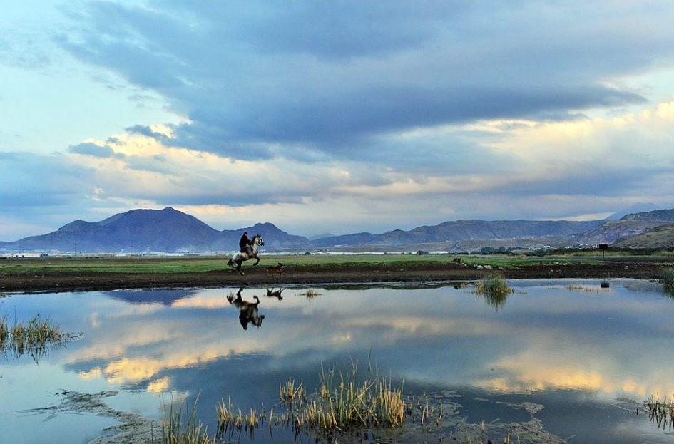 Hürmetçi Reedbed