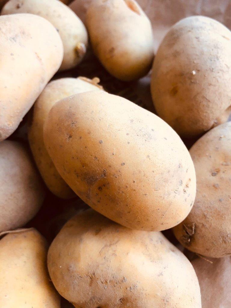 Bolu Yellow Potato