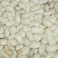 Göynük Bombay Beans