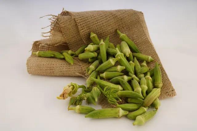 Keşan Siğilli Okra