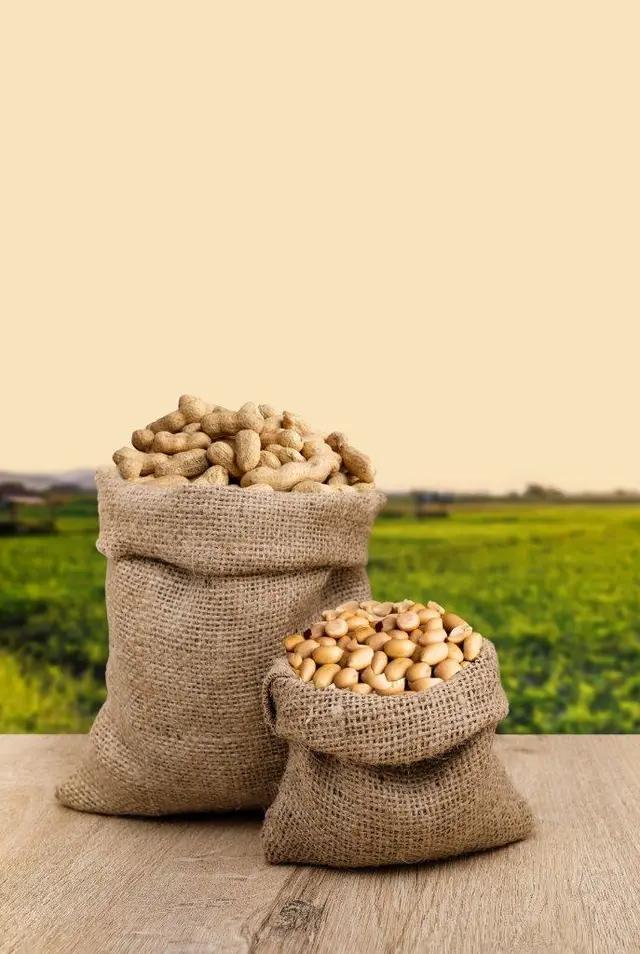 Meriç Peanut