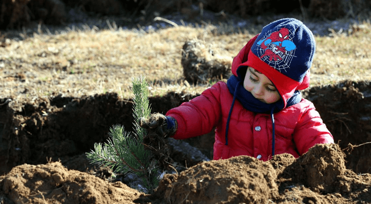 National Afforestation Day 