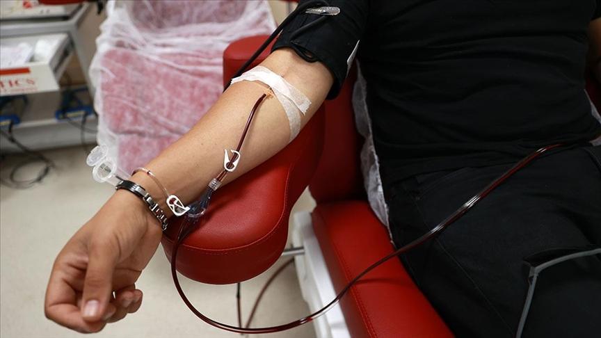 World Blood Donor Day