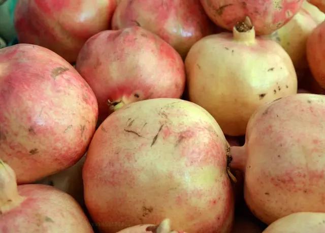 Gaziantep Oğuzeli Pomegranate