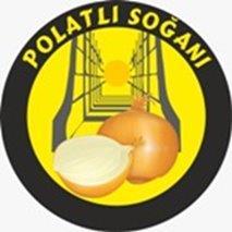 Polatlı Soğanı