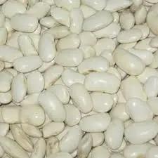 Göynük Bombay Bean