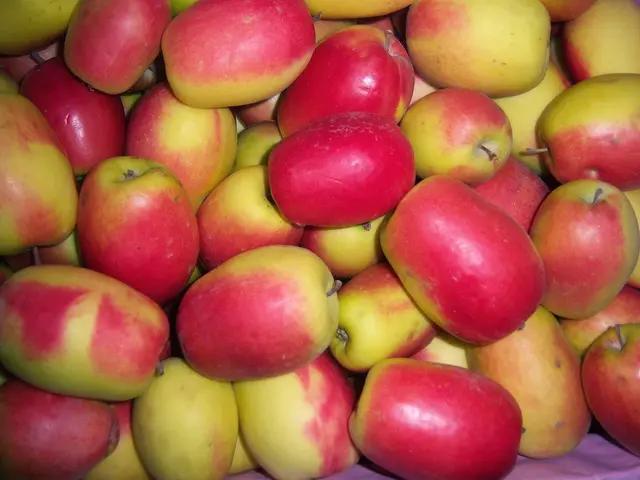 Kağızman Long Apple