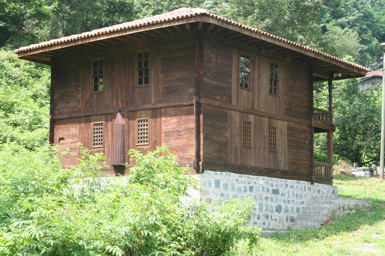 145995,img0257.png.jpeg