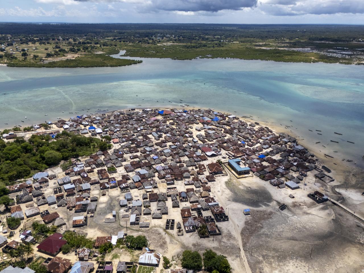 2025 Tanzania Elections