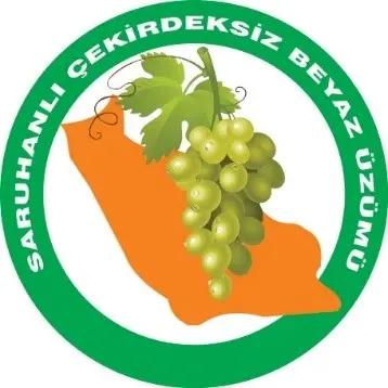 Saruhanlı Seedless White Grape