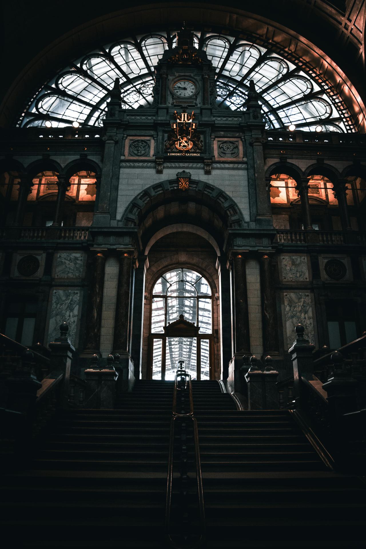 pexels-photo-14655956.jpeg