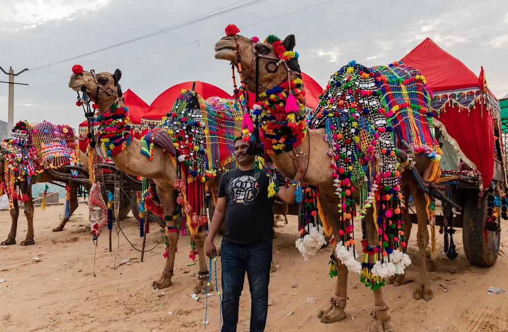 Pushkar Camel Festival