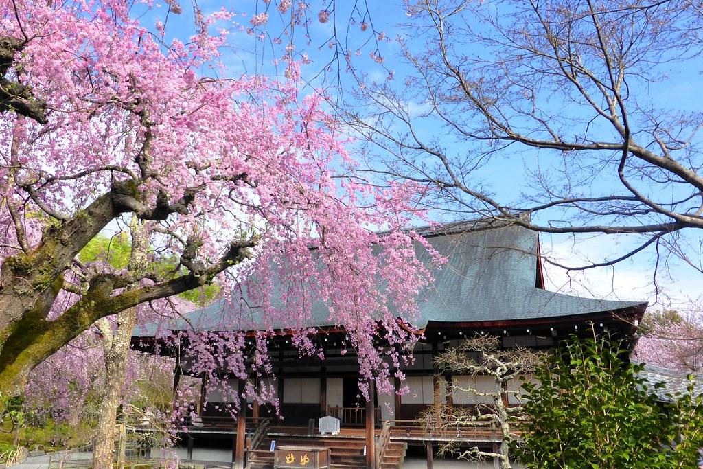 Tenryu-ji Temple