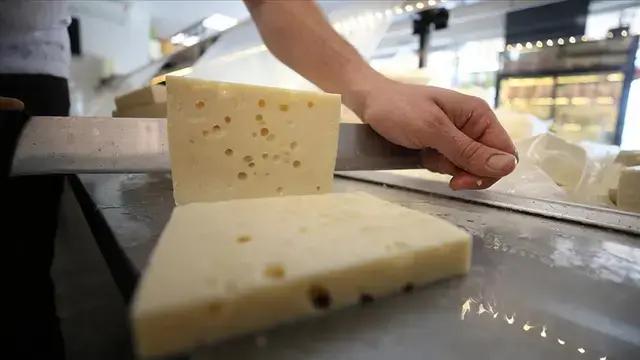 Savaştepe Mihaliç Kelle Cheese 