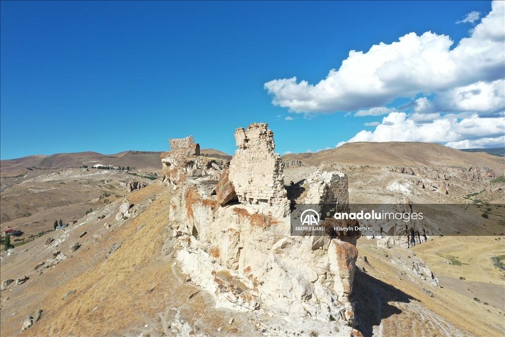 1000239331.jpg