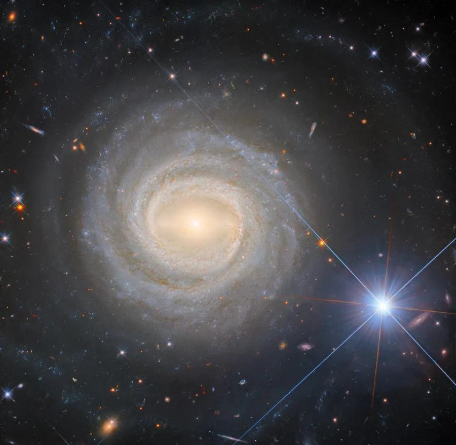 Seyfert Galaxy