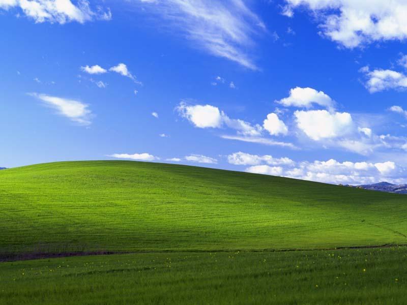 Bliss (Fotoğraf)
