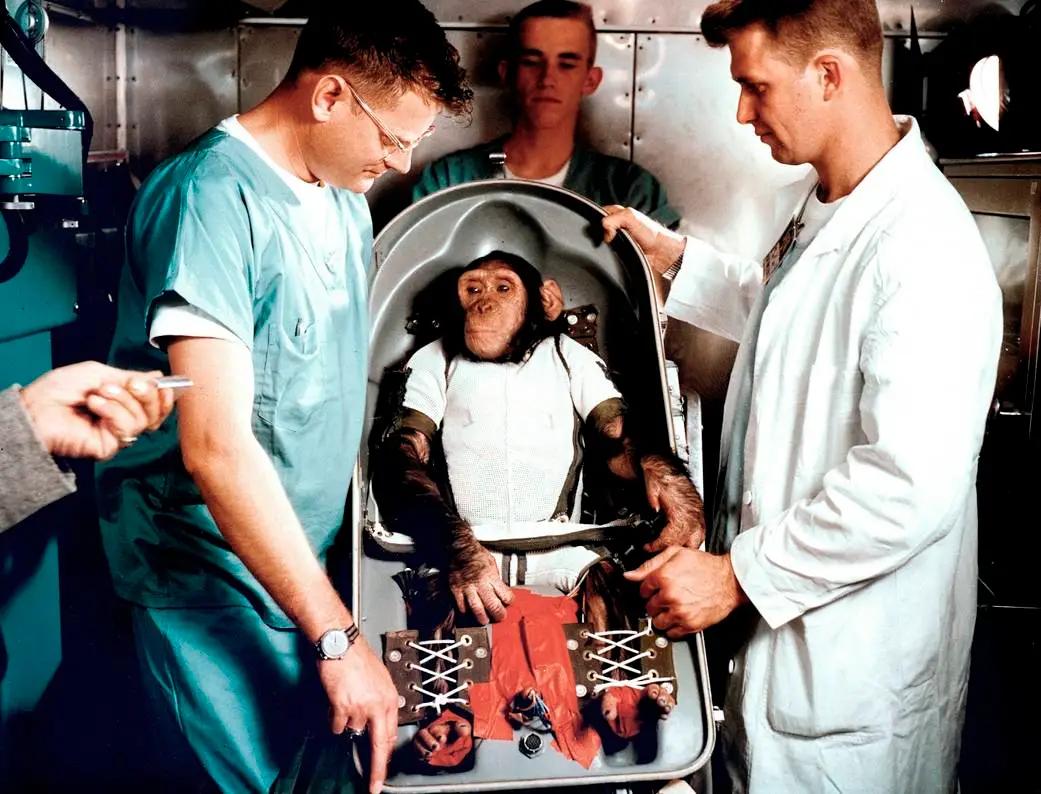 Ham (Astrochimp)