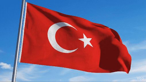 Türk Bayrağı